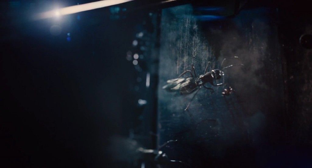 Ant-Man Trailer 1 Photo - Scott Lang (Paul Rudd) Approaches Flying Ant
