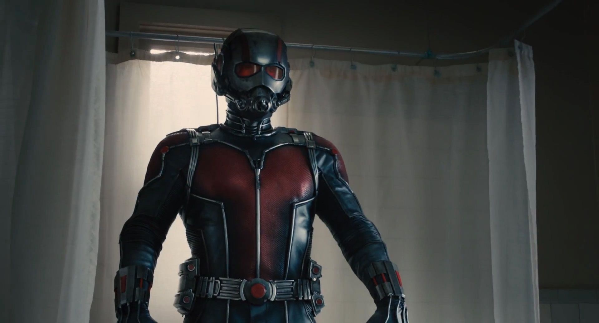 20 Strange Facts About AntMans Body