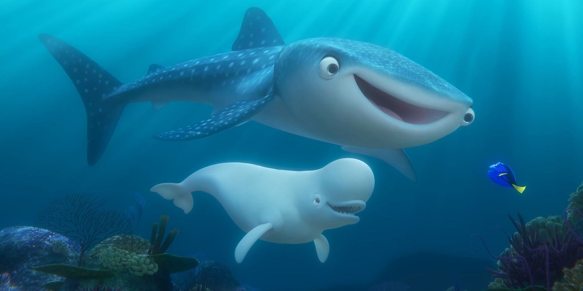 Bailey Destiny and Dory in Finding Dory