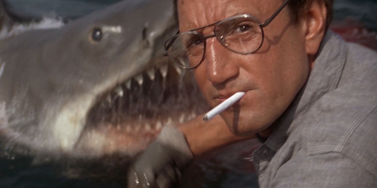 The shark and Martin Brody in Jaws