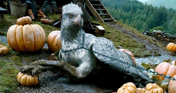 Buckbeak the Hippogriff in 'Harry Potter'