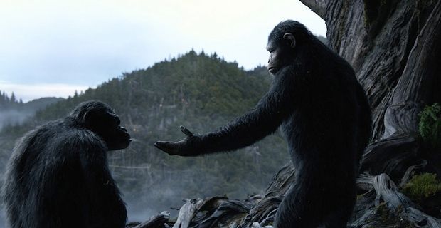 Caesar (Andy Serkis) and Koba (Toby Kebbell) in 'Dawn of the Planet of the Apes'