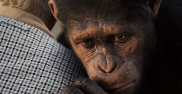 Caesar (Andy Serkis) in 'Rise of the Planet of the Apes'