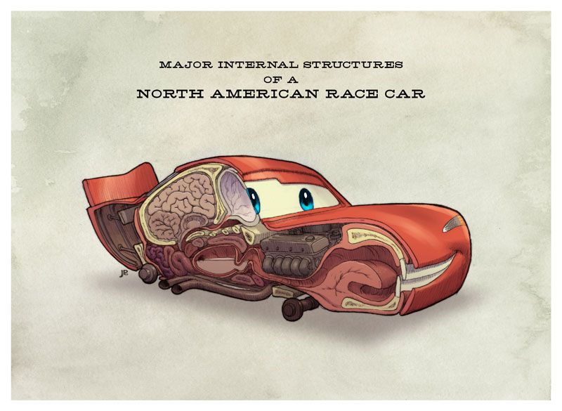 Cars Anatomy