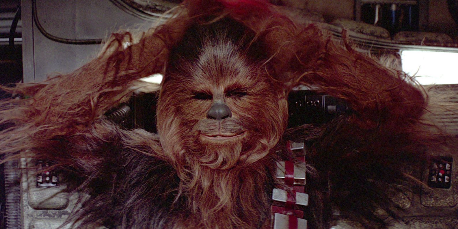 Chewbacca is Frustrated