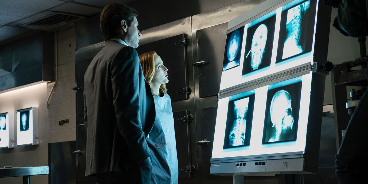 David Duchovny and Gillian Anderson in The X-Files Season 10 Episode 2