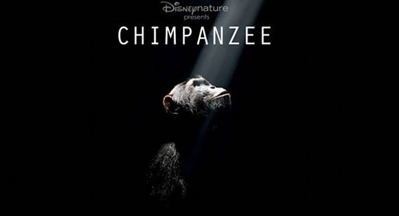 Disney Chimpanzee (2012)