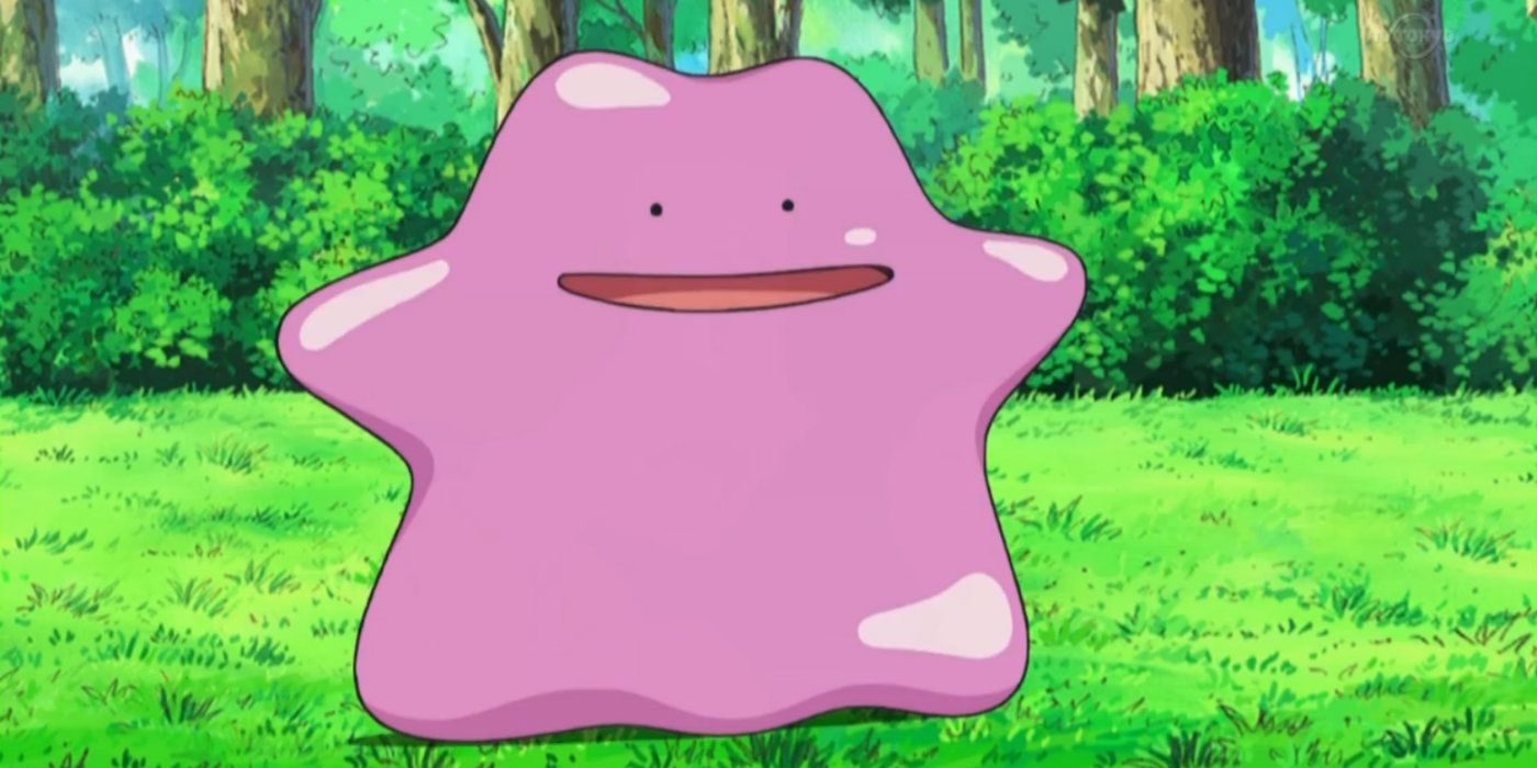 Ditto Pokemon