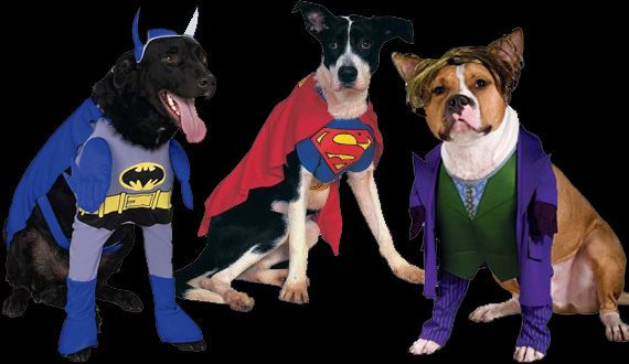 Dog Costume Movie Characters Iconic Costumes