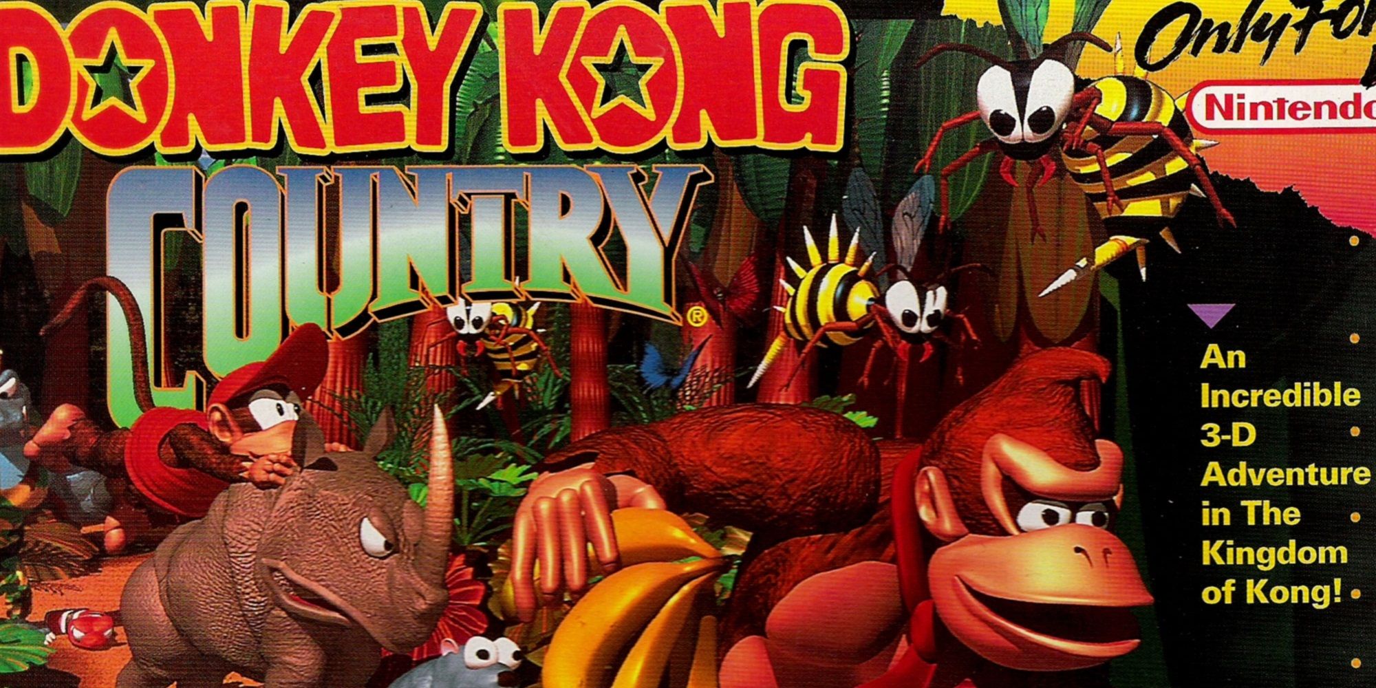 Donkey Kong and Diddy Kong on the Donkey Kong Country box art