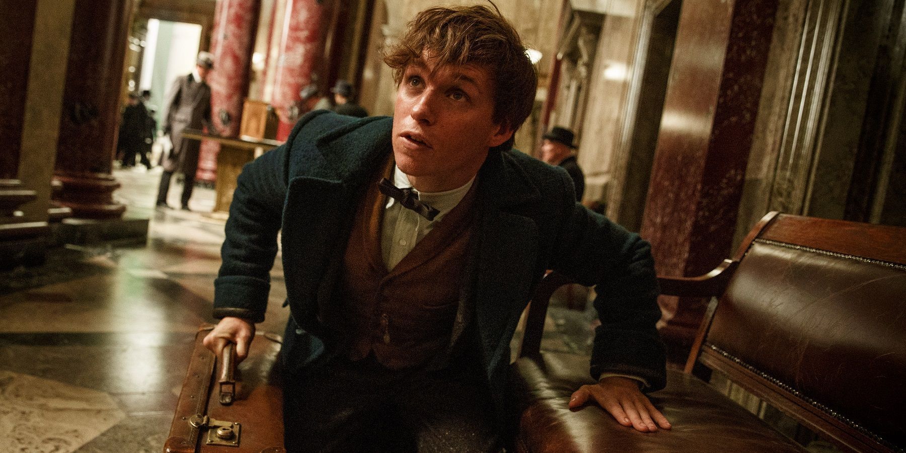 Eddie Redmayne Fantastic Beasts and Where to Find Them.