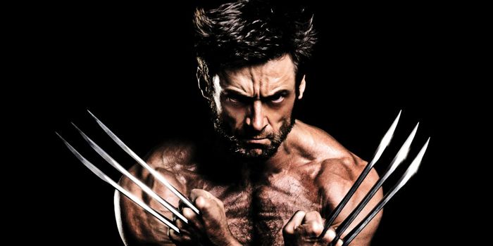 Favorite Marvel Heroes Wolverine