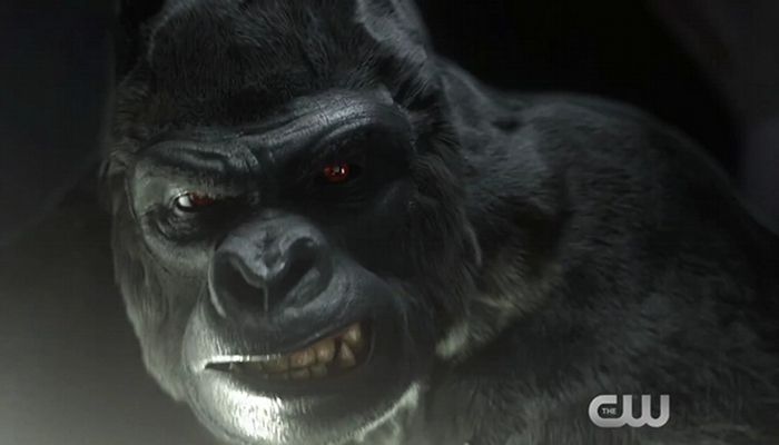 Flash Season 1 Gorilla Grodd First Look