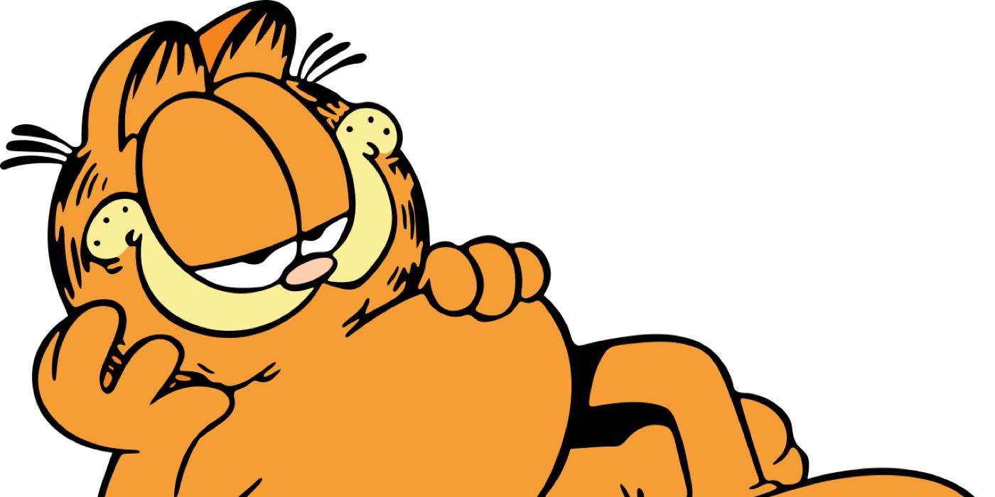 An image of Garfield the cat laying on his back. 