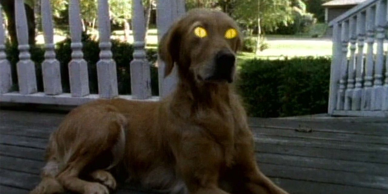 A dog with glowing eyes in Goosebumps