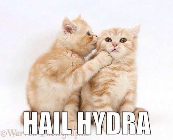 Hail Kitty Hydra