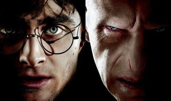 Harry Potter &amp; Voldemort in Deathly Hallows review