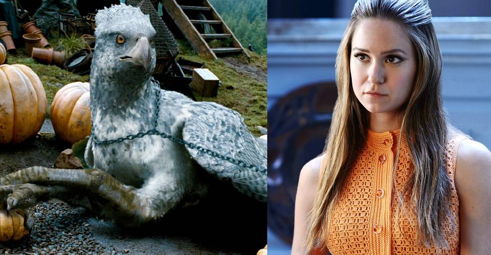 Get Katherine Waterston Fantastic Beasts And Where To Find Them Cast Gif