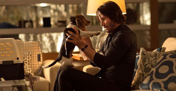 Keanu Reeves and Puppy in John Wick