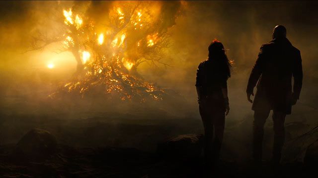 Last Witch Hunter Burning Witch Tree