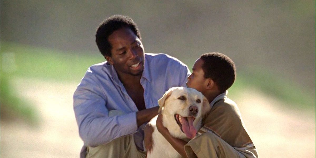 Michael and Walt hugging Vincent the dog in Lost