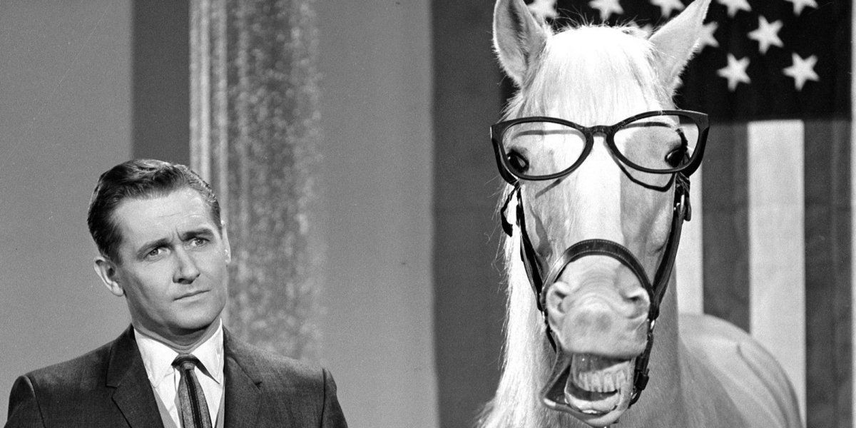 Alan Young Passes Away Mister Ed
