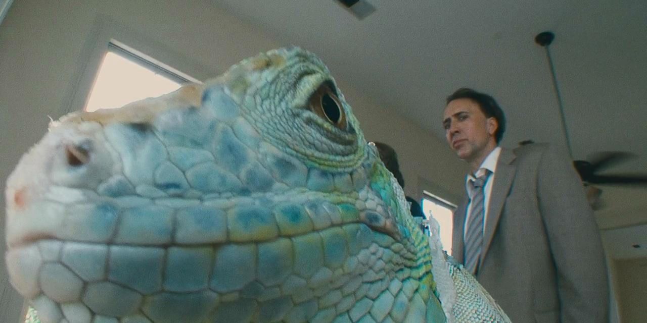 Nicolas Cage and iguanas in Bad Lieutenant: Port of Call New Orleans