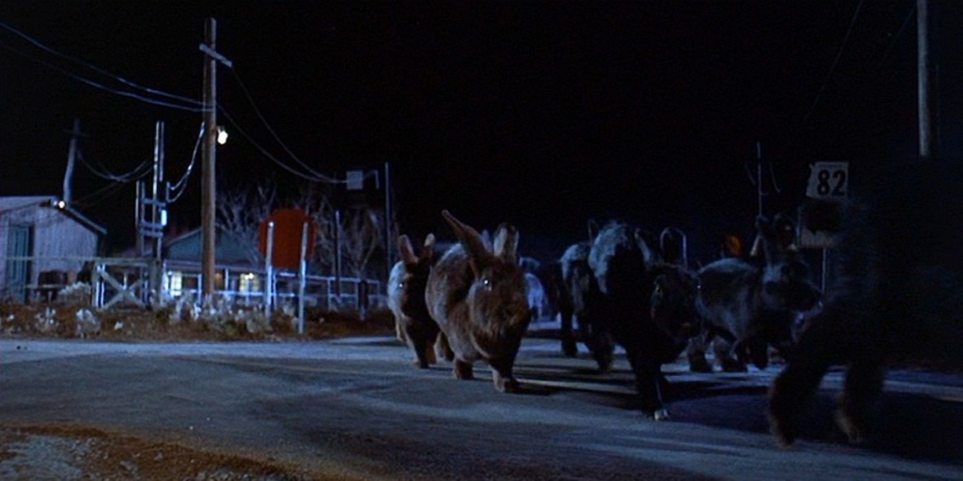 Night of the Lepus giant mutant rabbits