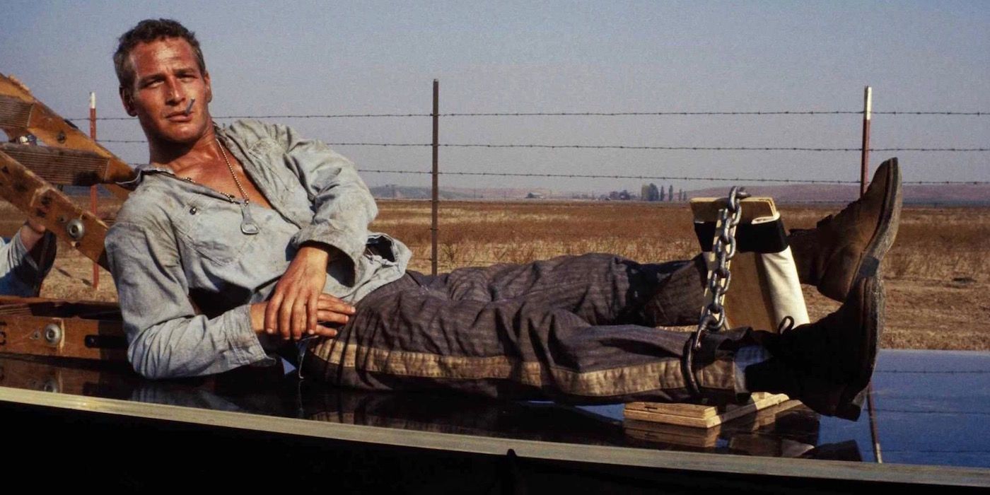 Paul Newman reclines in Cool Hand Luke
