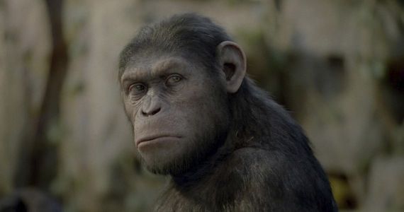 ‘Rise of the Planet of the Apes 2’ Snags ‘Contagion’ Writer