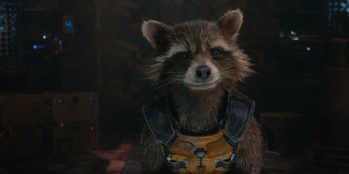 Rocket Raccoon looks on in Guardians of the Galaxy