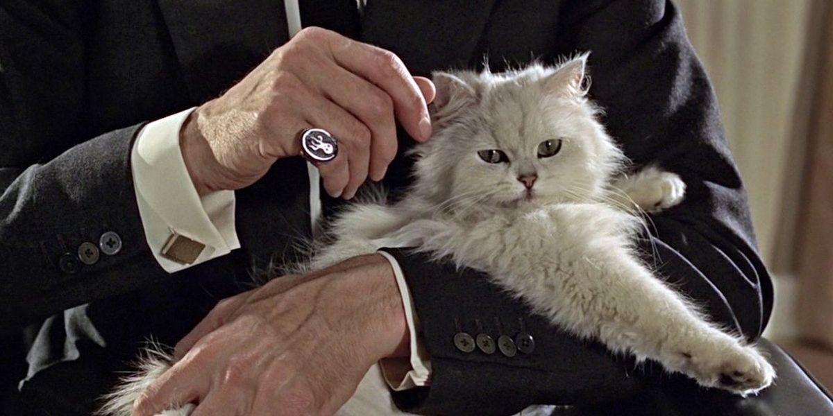 Spectre James Bond Easter Egg White Cat