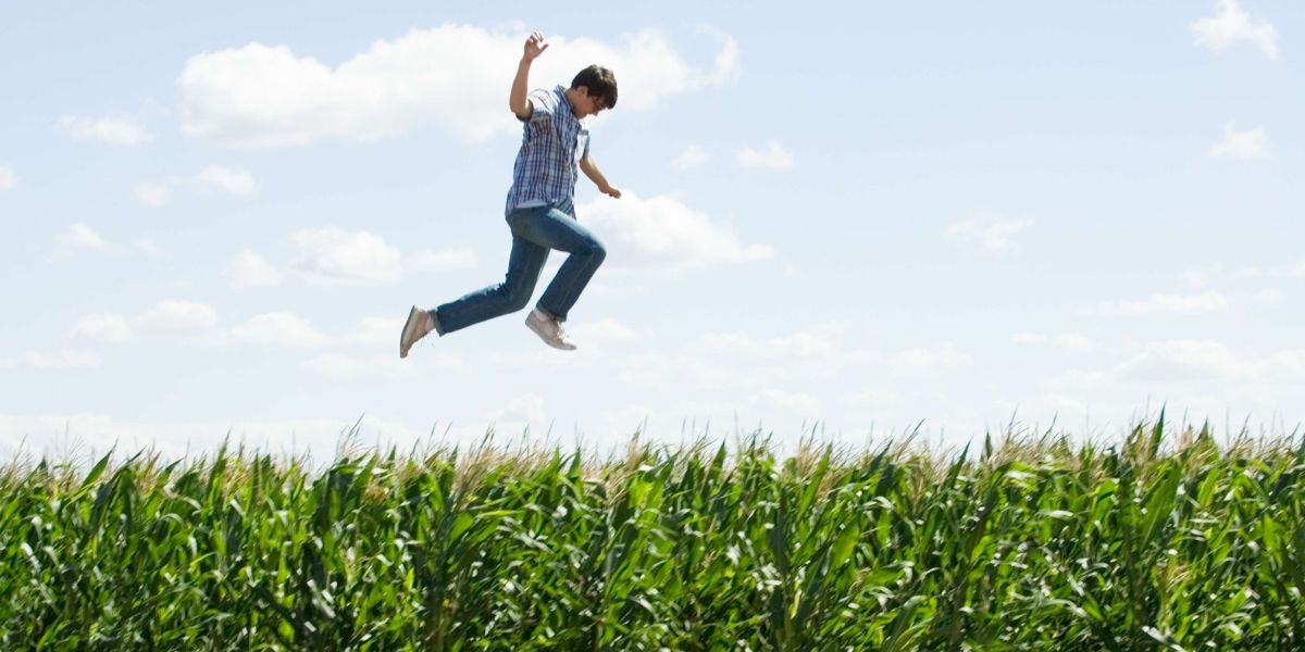 Superman Returns Trivia Cornfield Australia