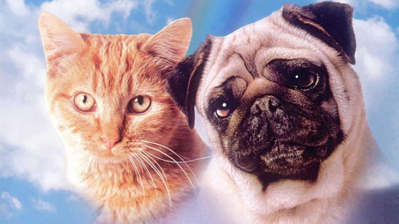 The Adventures of Milo and Otis - Best Dog Movies