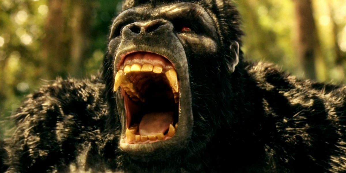 The Flash Gorilla Grodd Scream