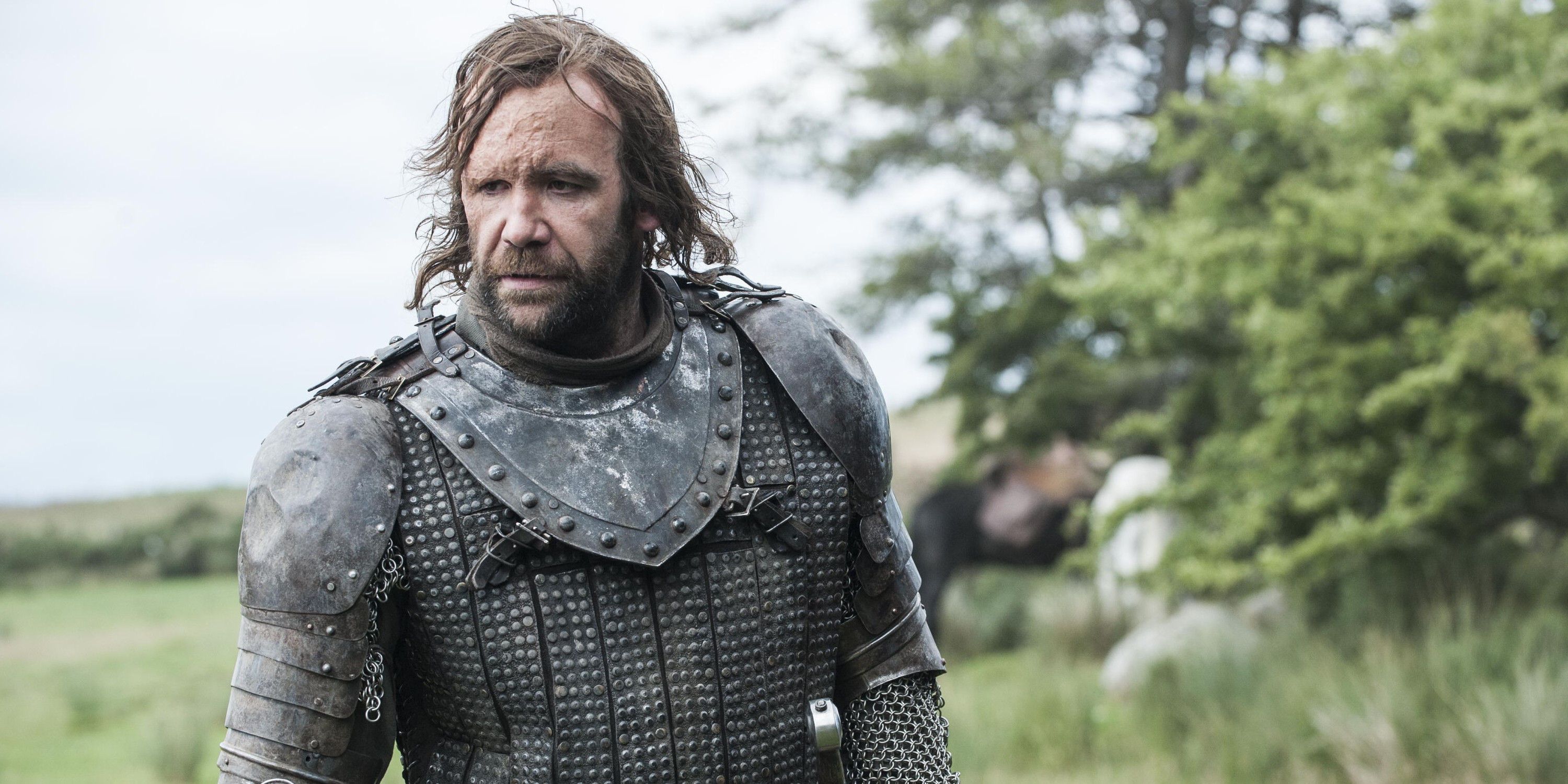 The Hound in Game of Thrones
