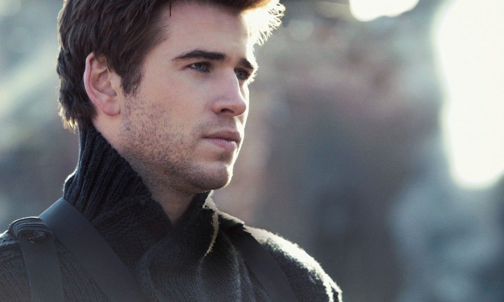 The Hunger Games Mockingjay Part 1 - Gale