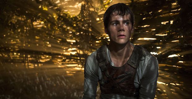Dylan O'Brien as Thomas in 'The Maze Runner'