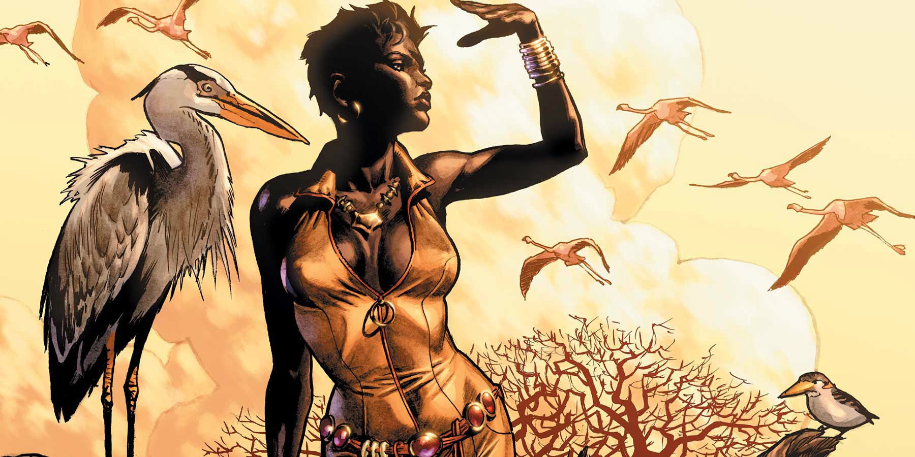 Vixen looking out into the distance in the DC Comics