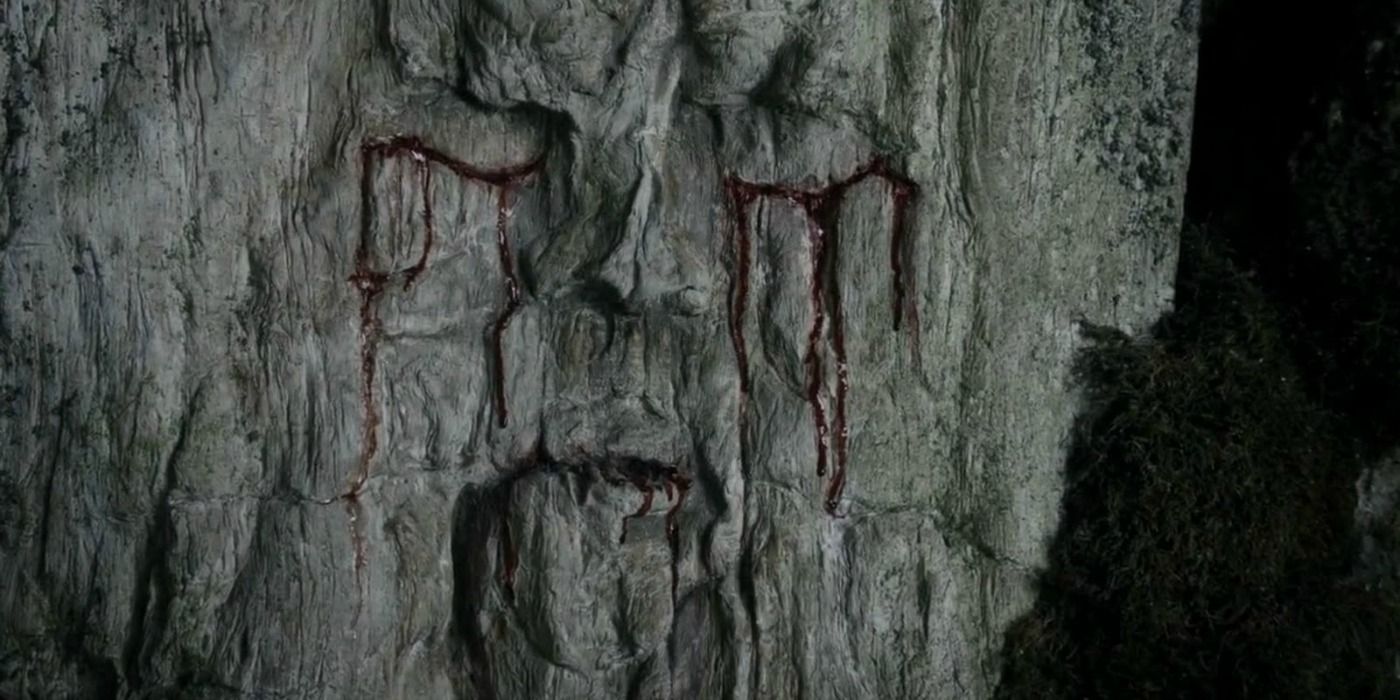 A face carved in a weiwood tree from &quot;Game of Thrones&quot;
