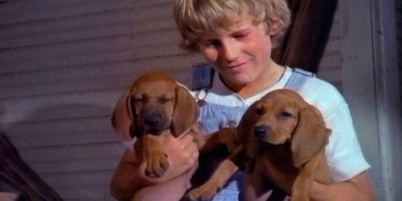A boy holding two puppies in Where the Red Fern Grows