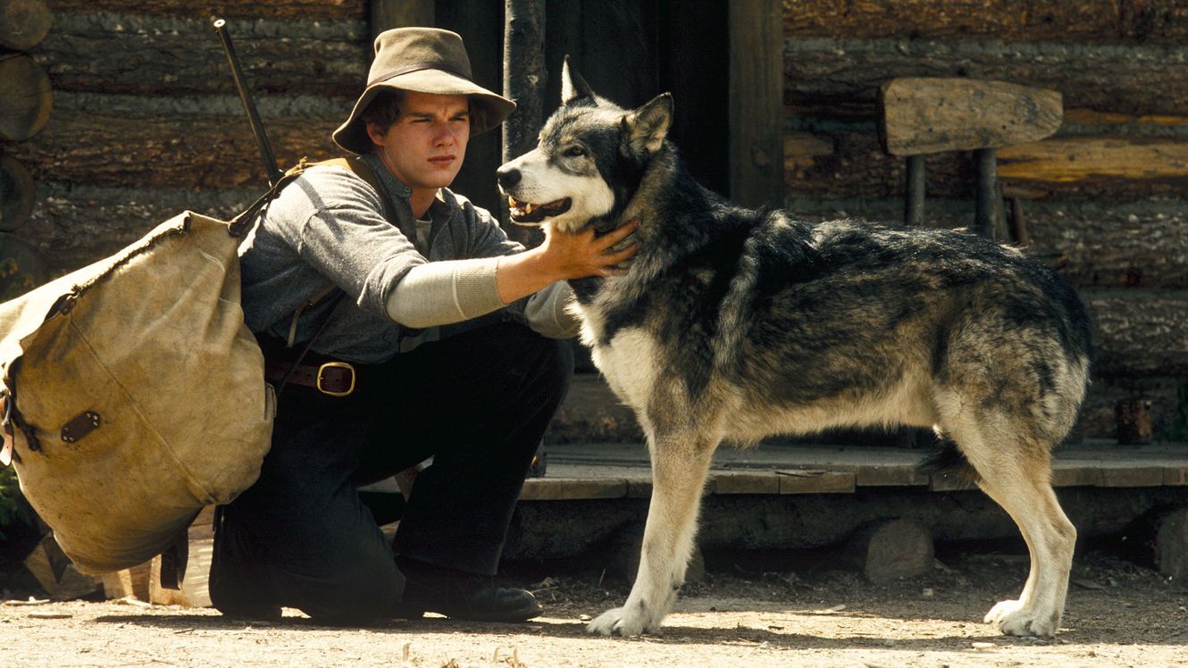 White Fang - Best Dog Movies