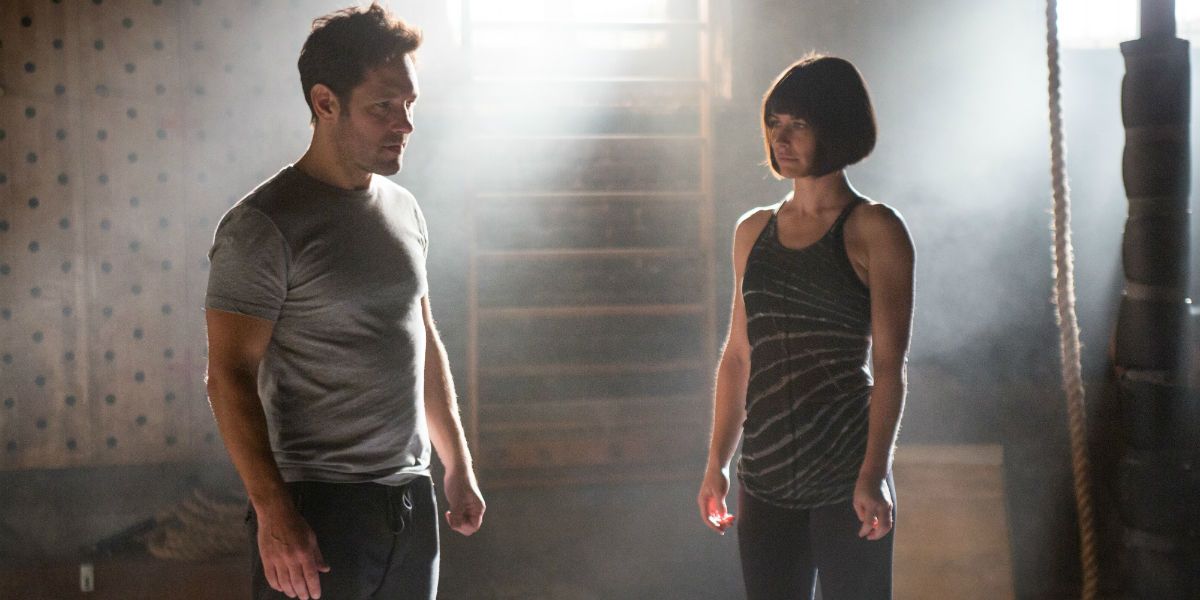 Ant-Man stars Paul Rudd and Evangeline Lilly