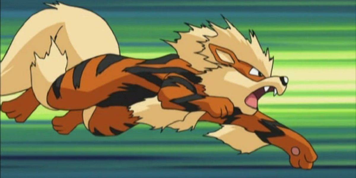 Arcanine correndo e rugindo no anime Pokémon