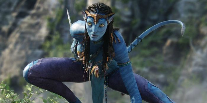 Avatar sequels development update
