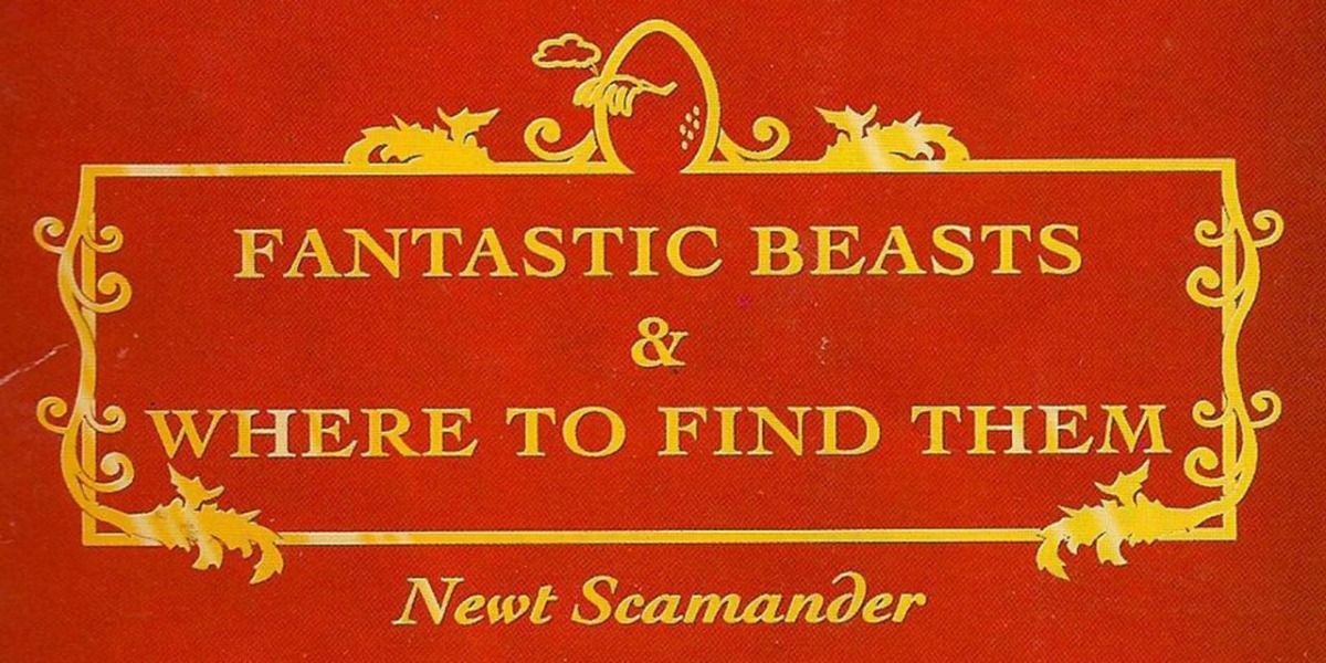 Book cover - 10 Differences between Harry Potter and Fantastic Beasts