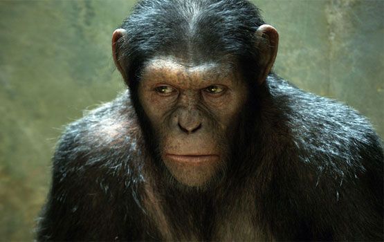 Caesar in 'Rise of the Planet of the Apes'