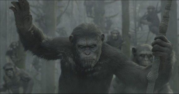 Older Caesar in 'Dawn of the Planet of the Apes'
