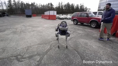 Boston Dynamics - Spot being kicked