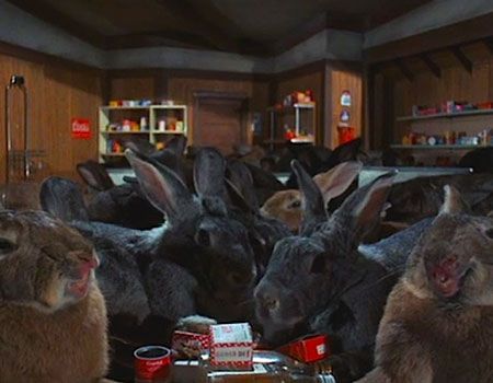 Domestic Rabbits from Night of the Lepus - 10 Badass Rabbits (That Aren't the Easter Bunny)